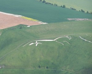 White_horse_from_air